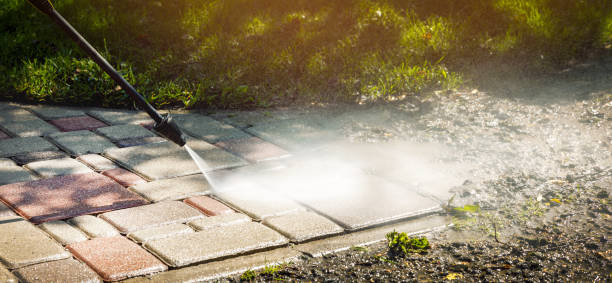 Best Roof Cleaning and Mildew Removal in Glenwood, IL