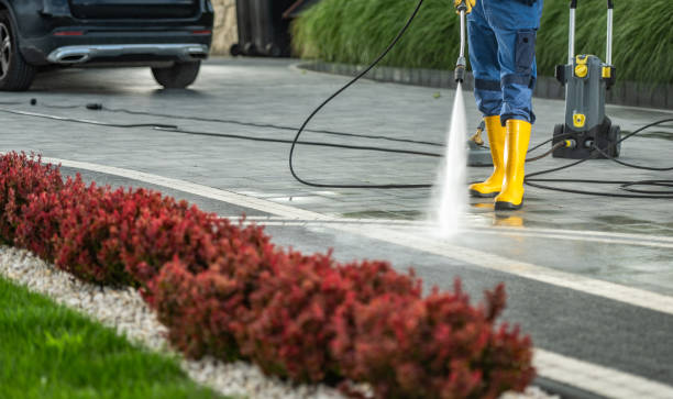 Best Gutter Cleaning and Brightening in Glenwood, IL